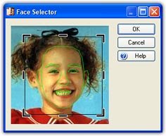 Face Selector Window