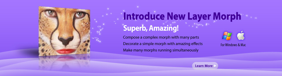Introduce New Layer Morph