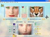 "Butterfly" skin of the skinable morphing software